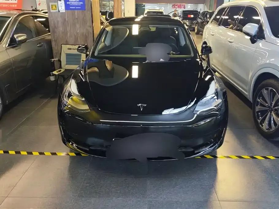 Tesla Model 3 2021 из CN, фото 9