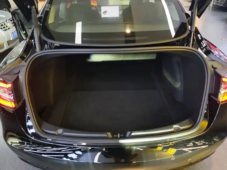 Tesla Model 3 2021 из CN, фото 2