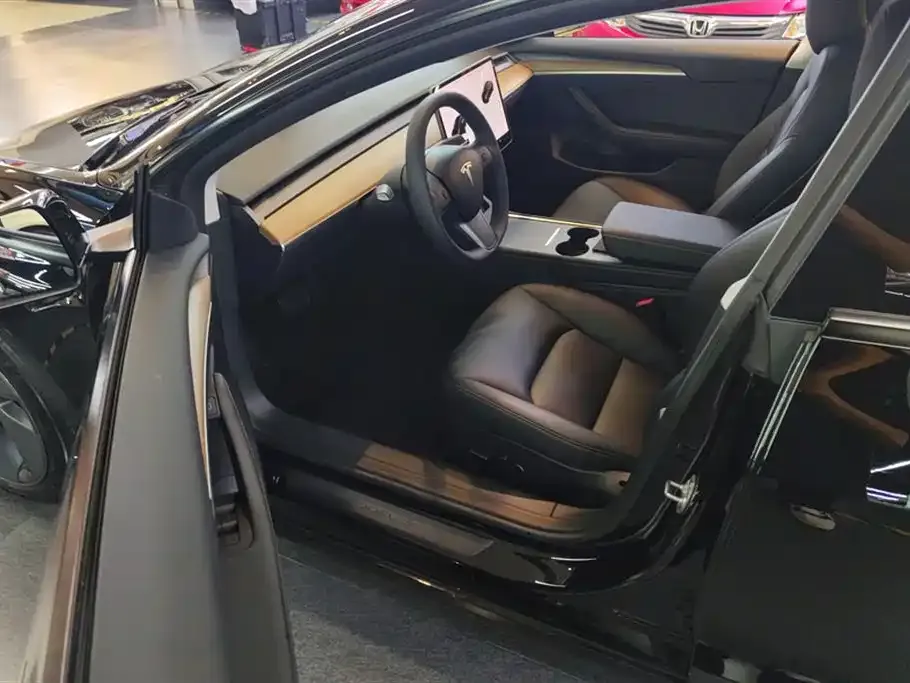 Tesla Model 3 2021 из CN, фото 4