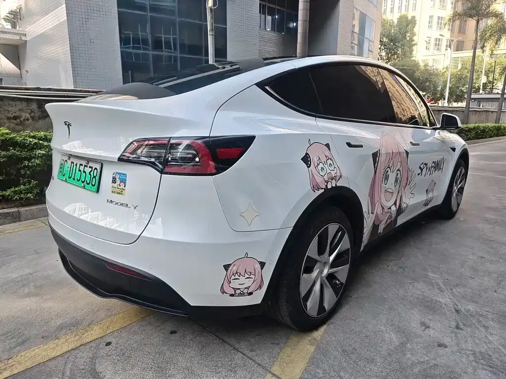 Tesla Model Y 2023 из CN, фото 9