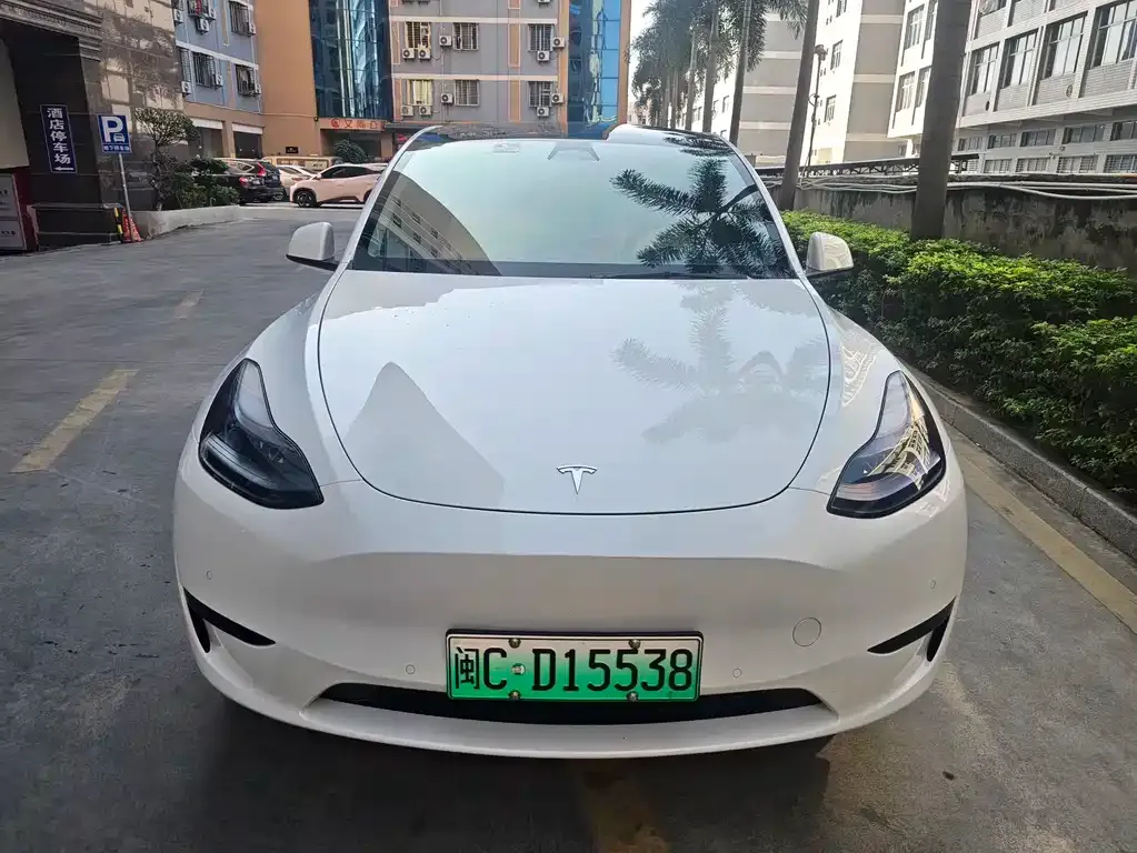 Tesla Model Y 2023 из CN, фото 7