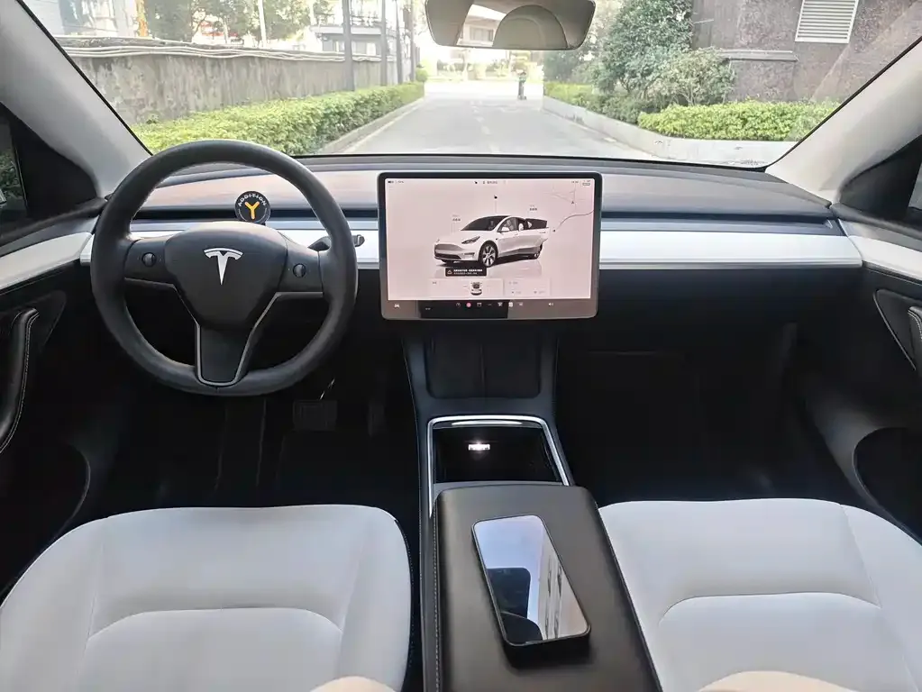 Tesla Model Y 2023 из CN, фото 3