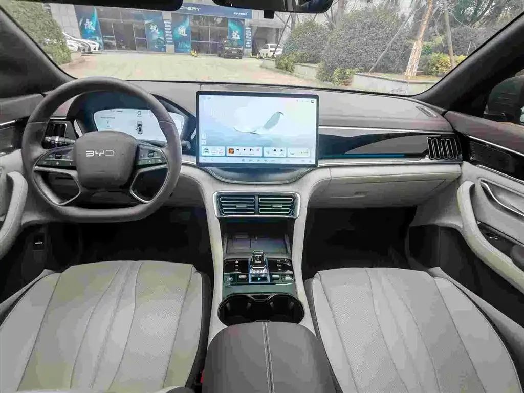 BYD PLUS New Energy — фото 9