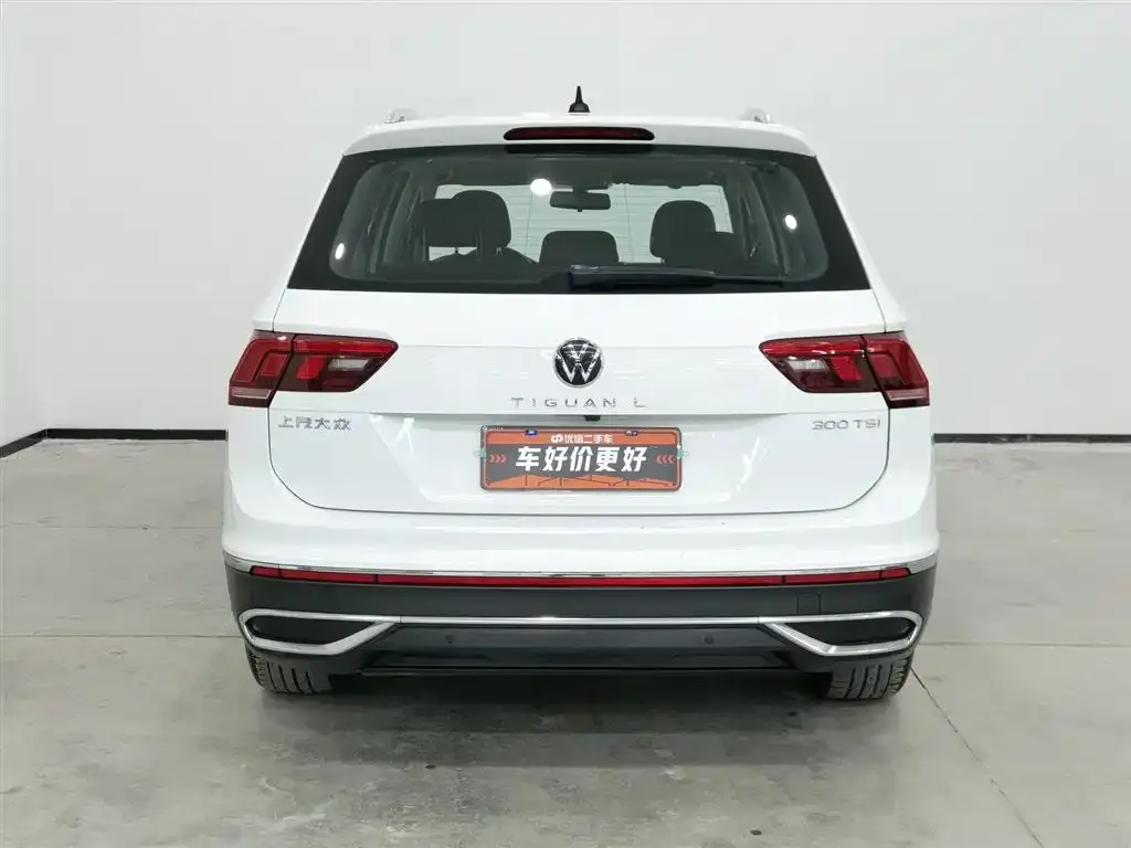 Volkswagen Tiguan L 2023 из CN, фото 2