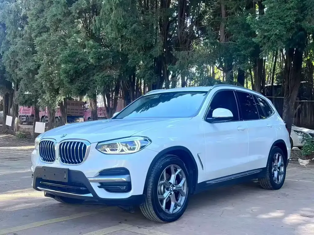 BMW X3 — фото 1