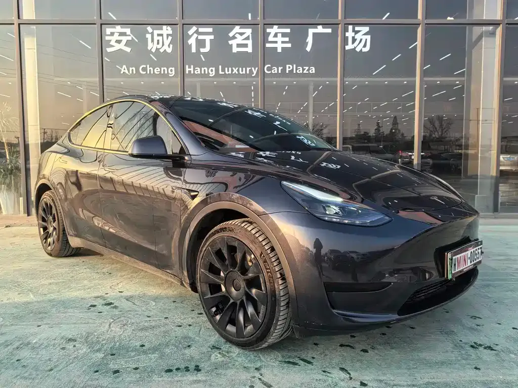 Tesla Model Y — фото 10