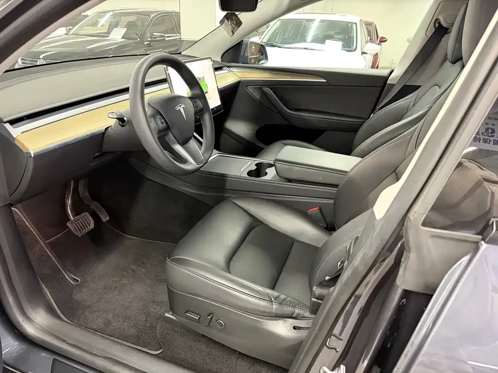 Tesla Model Y — фото 10