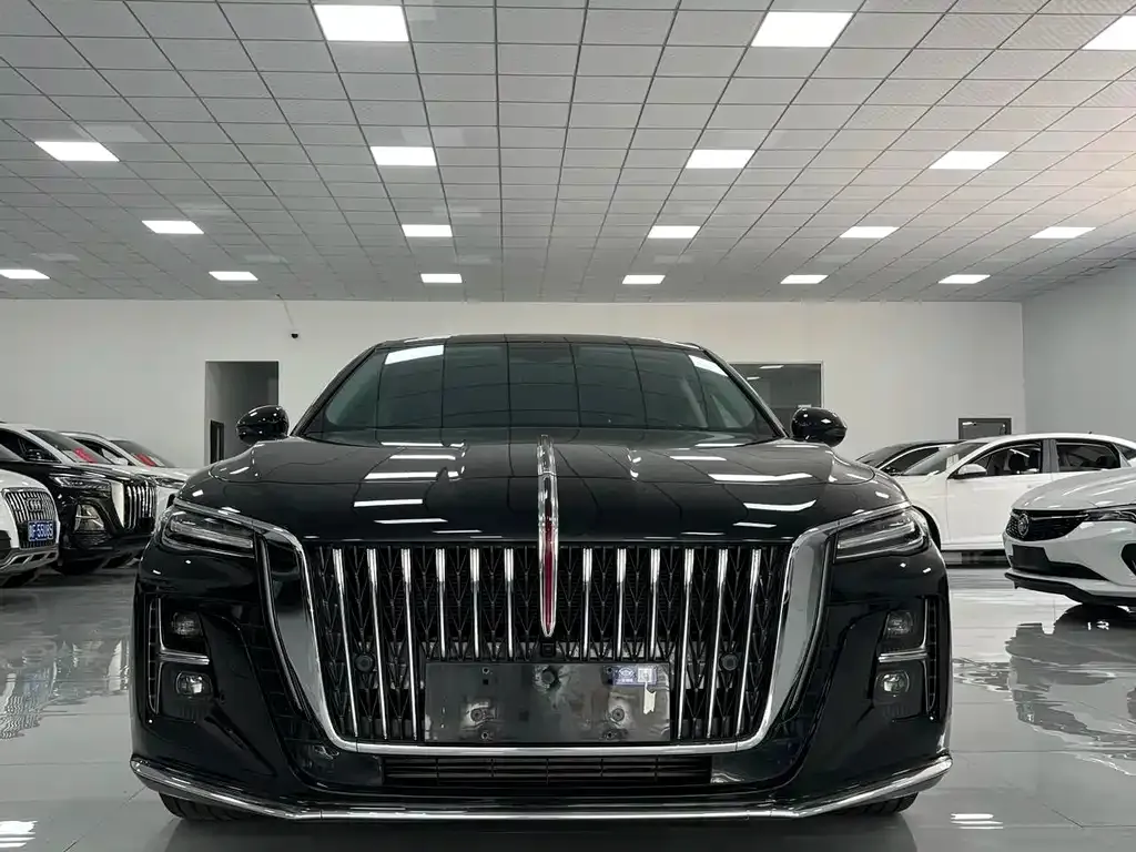Hongqi H5 2024 из CN, фото 1