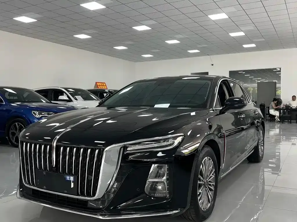 Hongqi H5 2024 из CN, фото 2