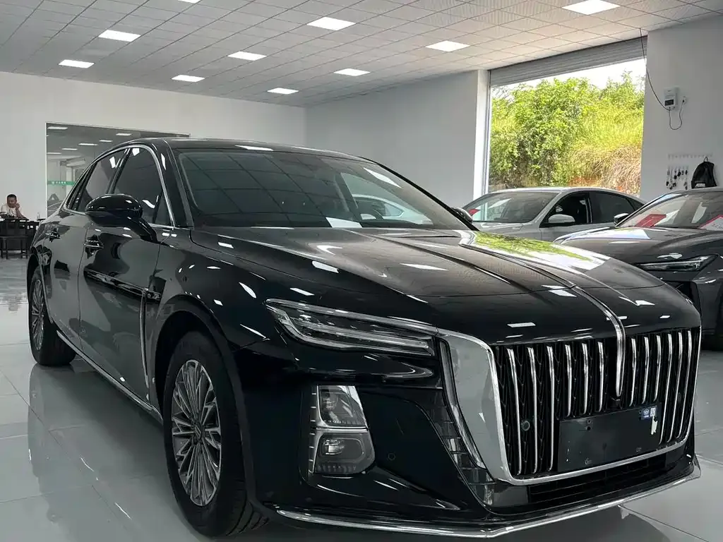 Hongqi H5 2024 из CN, фото 3
