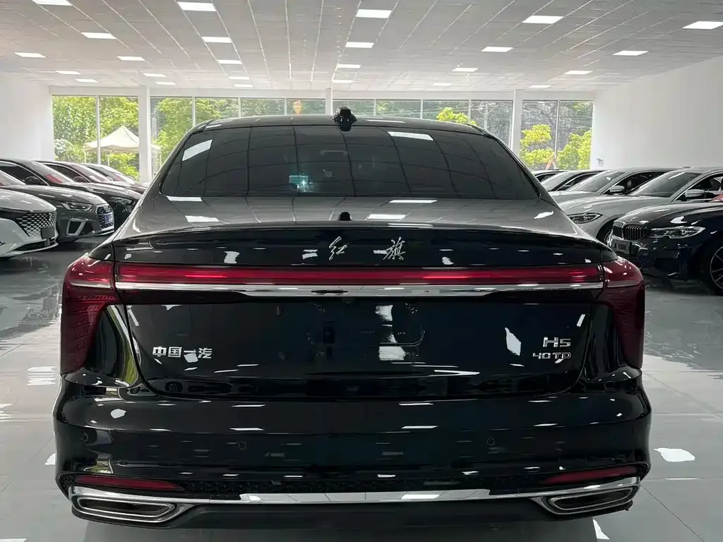 Hongqi H5 2024 из CN, фото 9