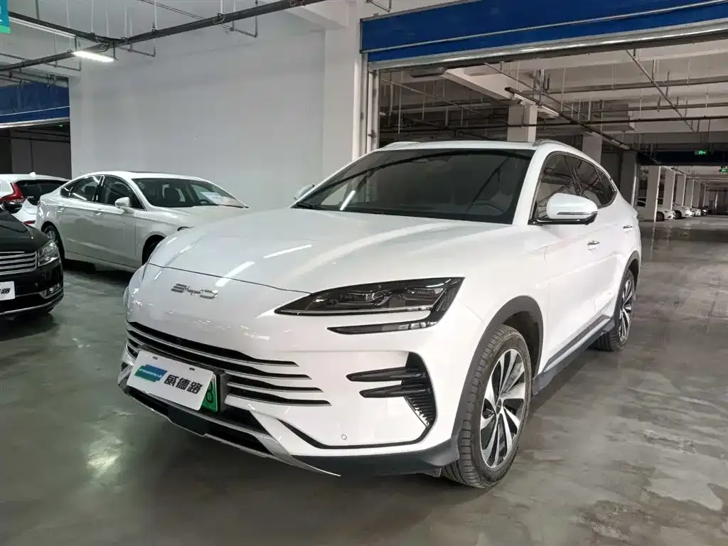 BYD PLUS New Energy 2024 из CN, фото 1