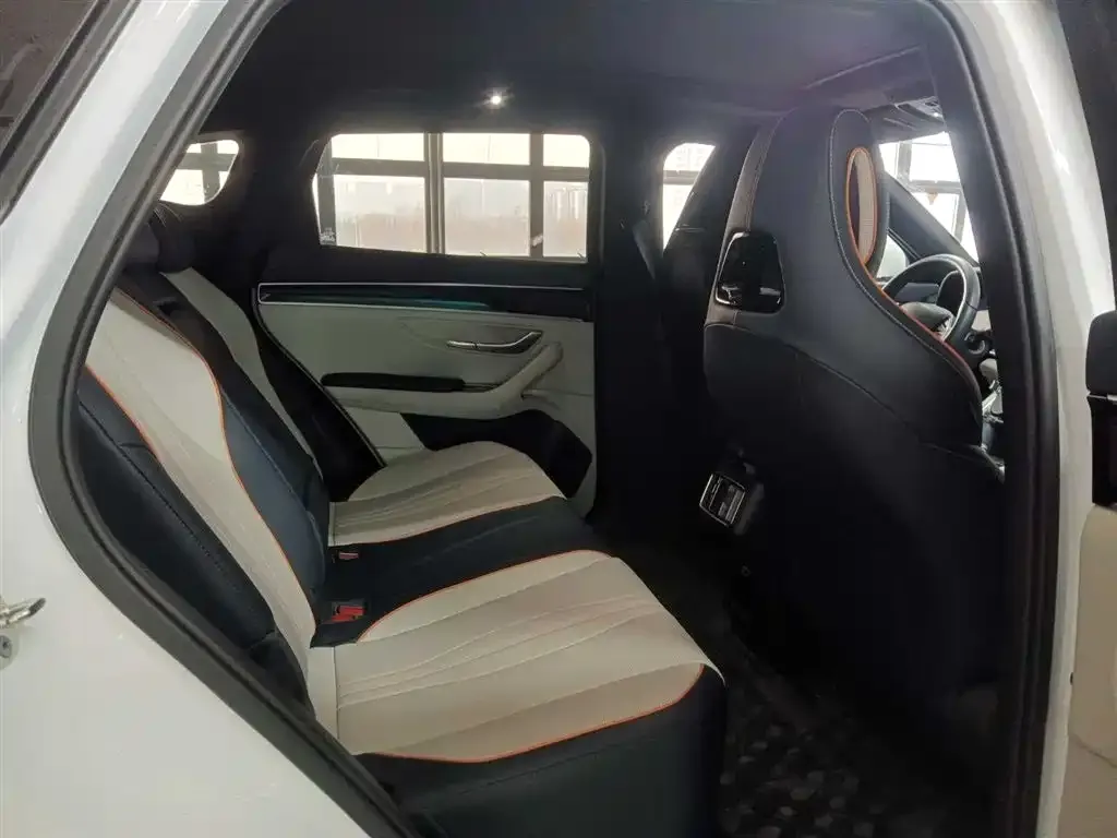 BYD PLUS New Energy 2024 из CN, фото 10