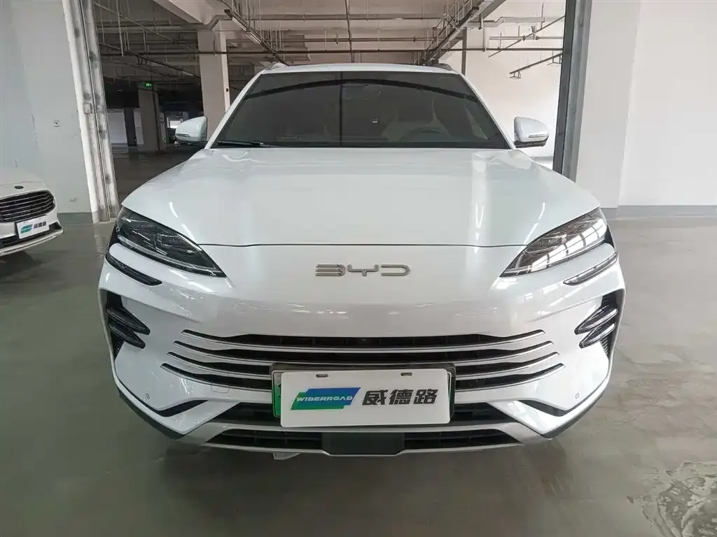 BYD PLUS New Energy 2024 из CN, фото 2