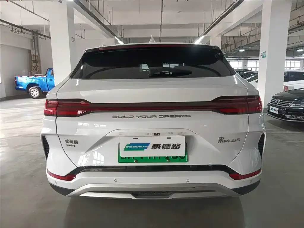 BYD PLUS New Energy 2024 из CN, фото 5
