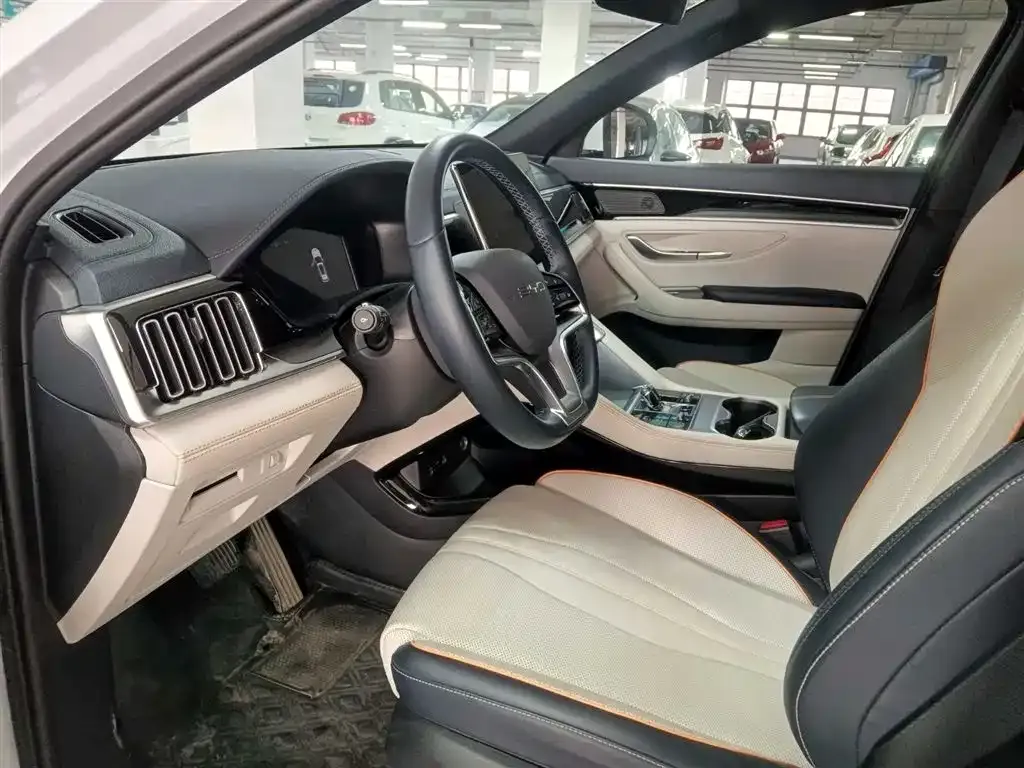 BYD PLUS New Energy 2024 из CN, фото 7