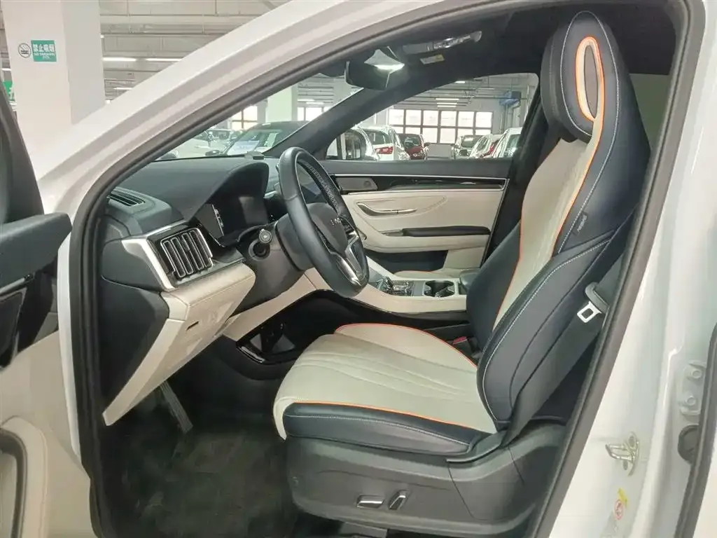 BYD PLUS New Energy 2024 из CN, фото 8