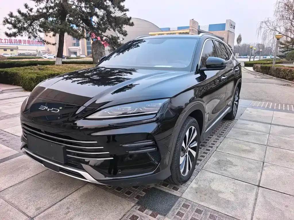 BYD PLUS New Energy 2024 из CN, фото 1