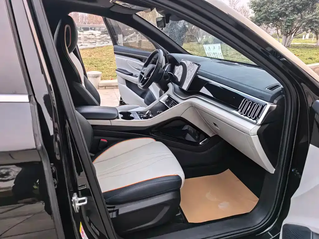 BYD PLUS New Energy 2024 из CN, фото 10