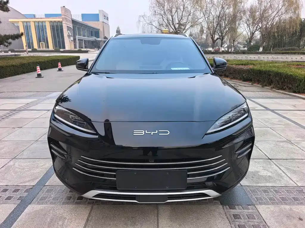 BYD PLUS New Energy 2024 из CN, фото 2