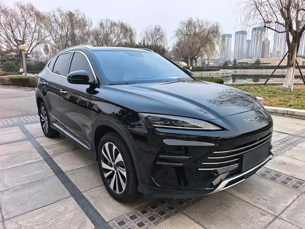 BYD PLUS New Energy 2024 из CN, фото 3