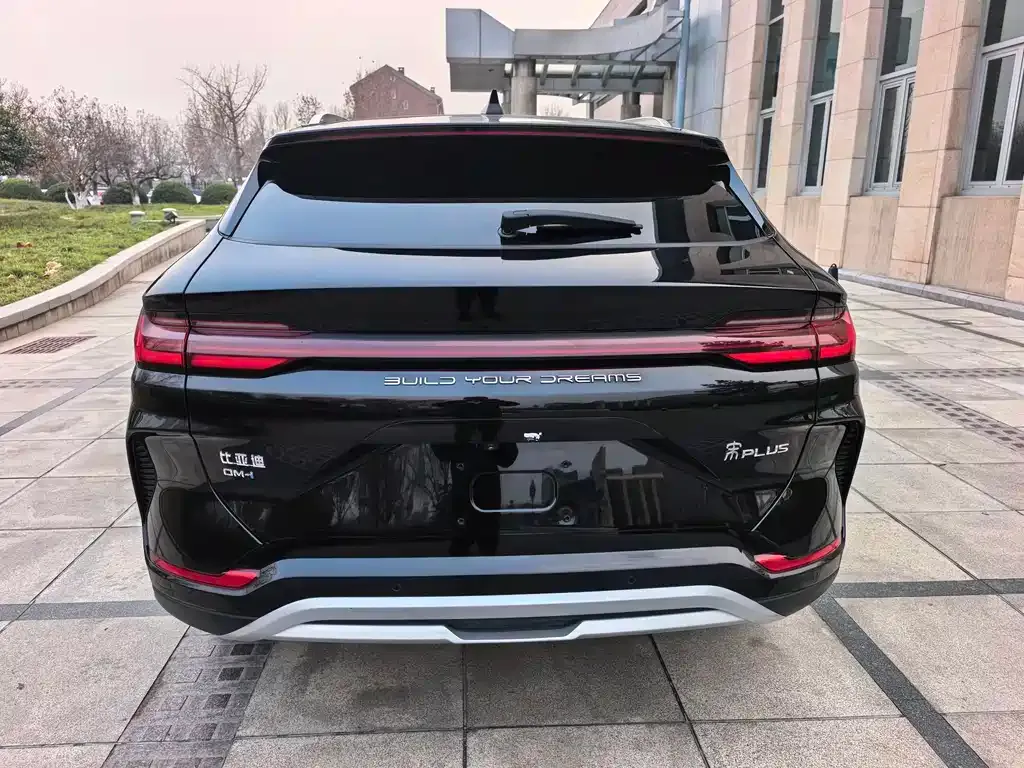 BYD PLUS New Energy 2024 из CN, фото 5