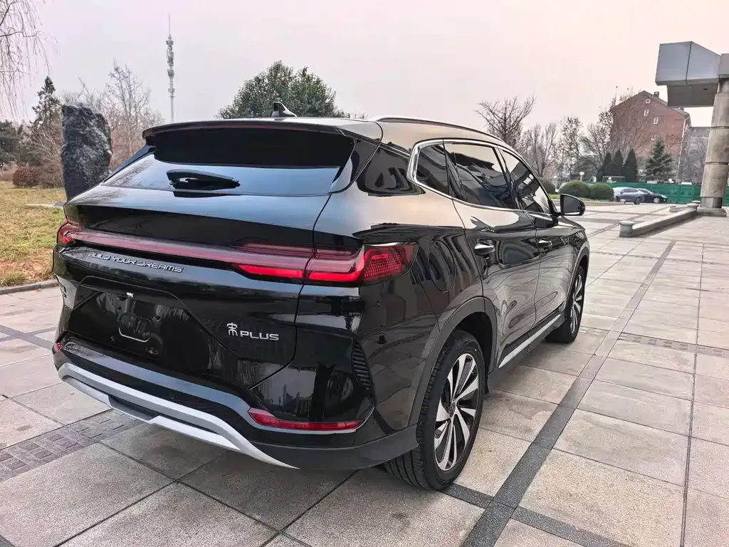 BYD PLUS New Energy 2024 из CN, фото 6