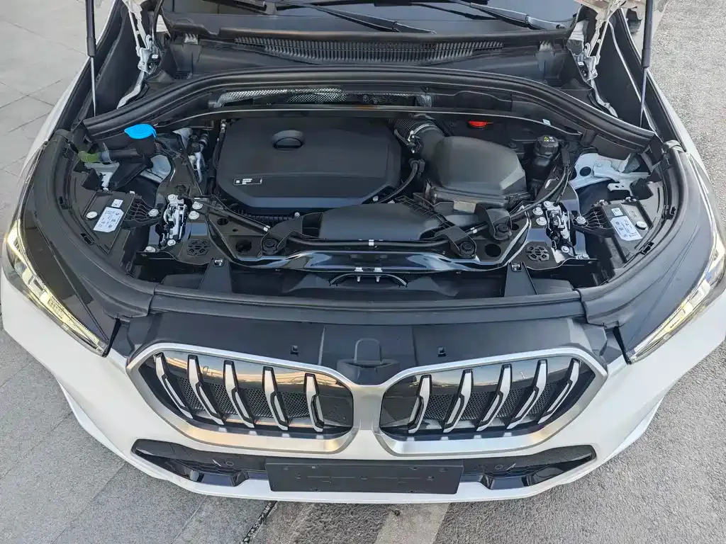 BMW X1 2023 из CN, фото 9