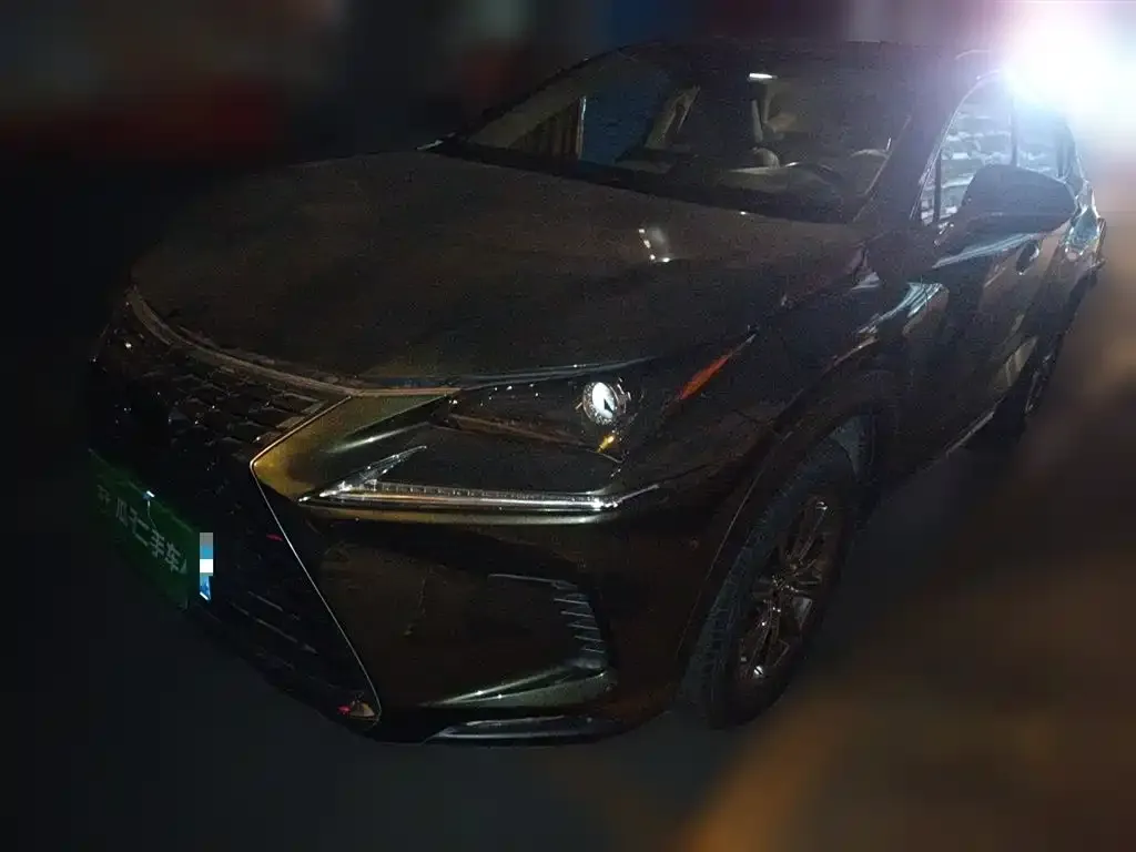 Lexus NX 2021 из CN, фото 1