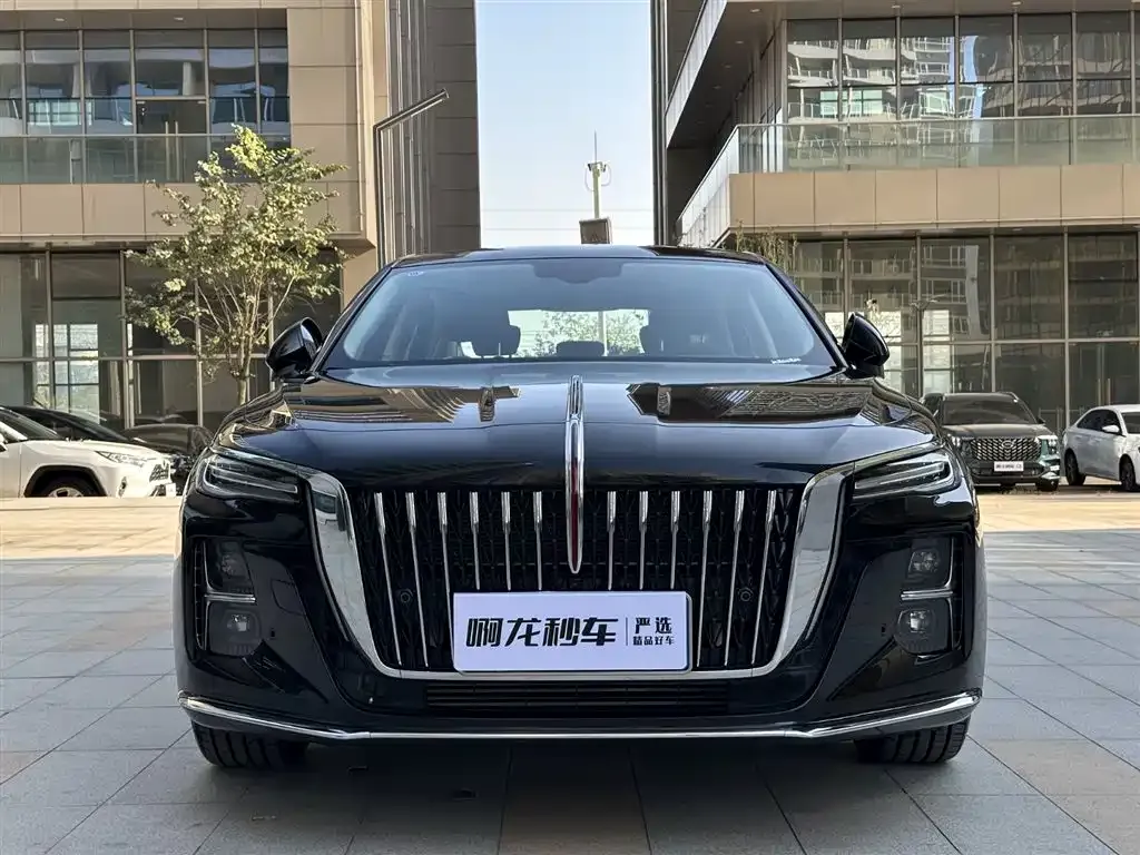 Hongqi H5 2025 из CN, фото 4