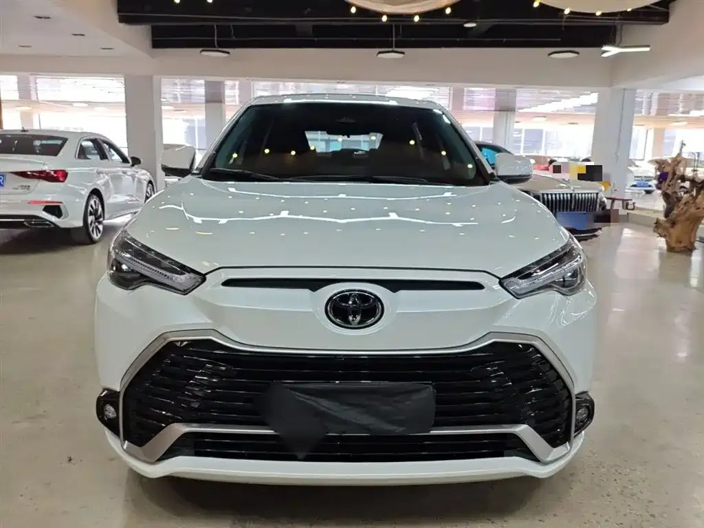 Toyota Frontlander 2023 из CN, фото 3