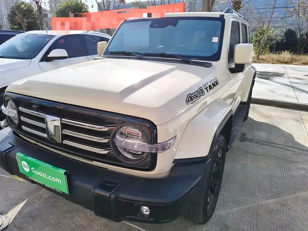 Tank 300 New Energy 2025 из CN, фото 1