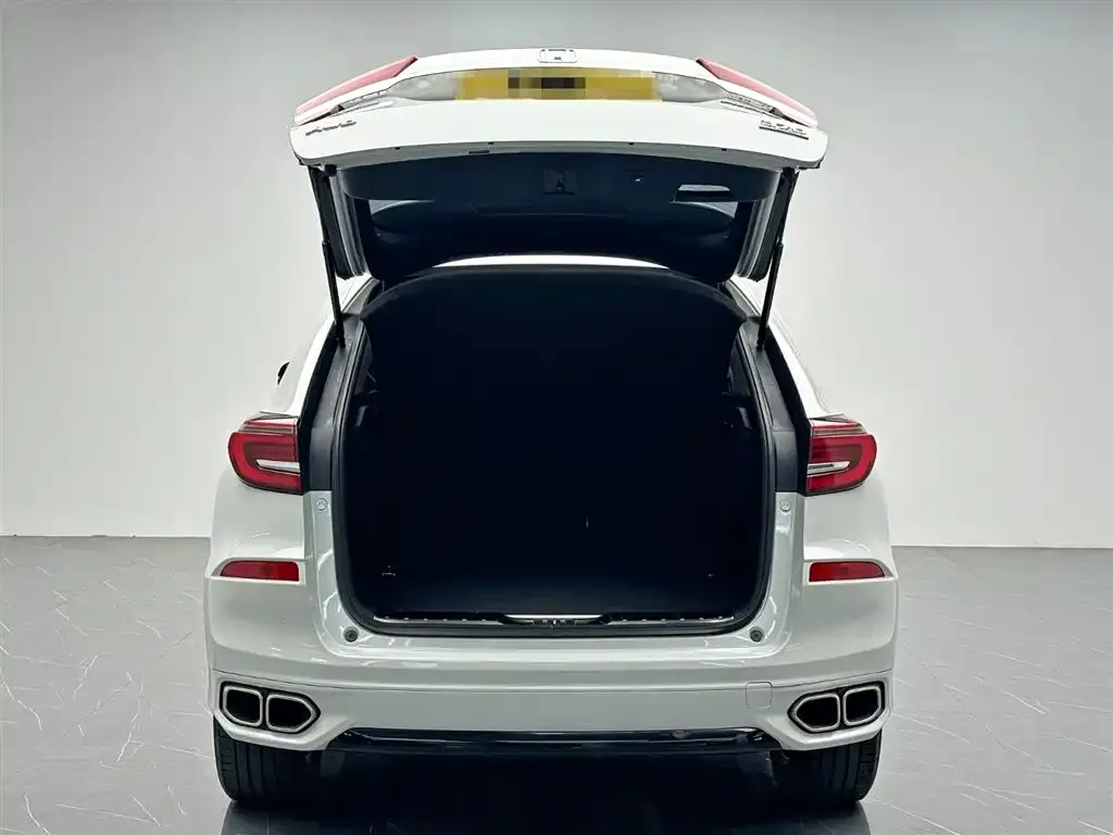 Honda Avancier 2022 из CN, фото 3