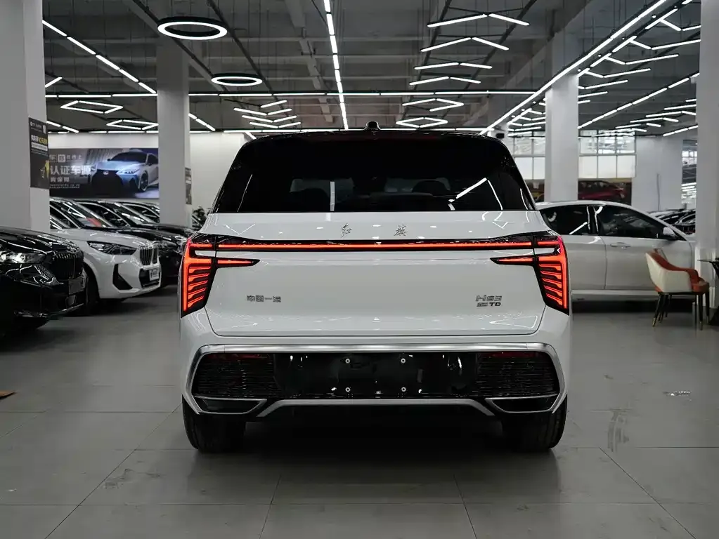 Hongqi HS3 2023 из CN, фото 8