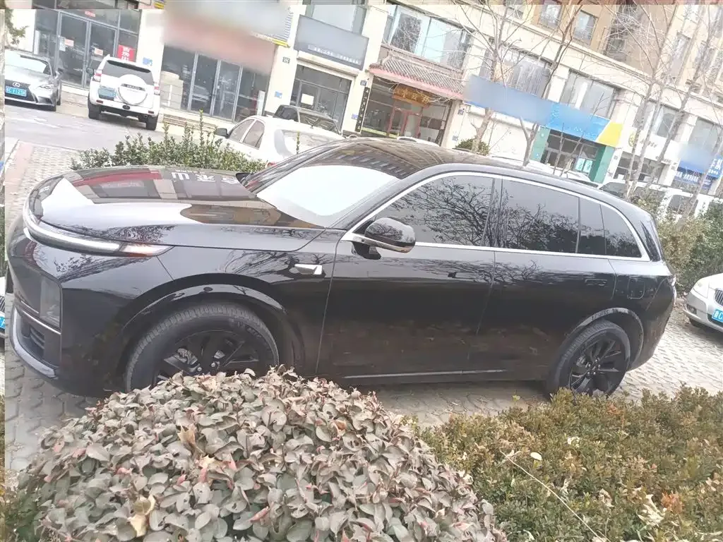 Li Auto L7 2023 из CN, фото 7