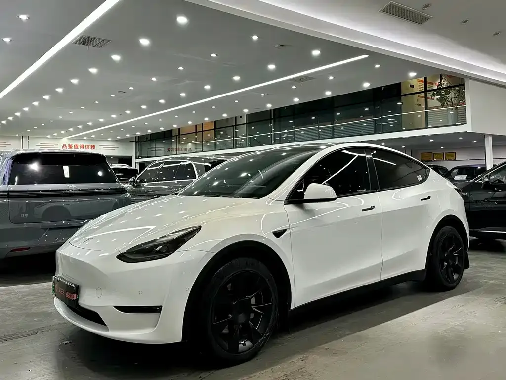Tesla Model Y 2021 из CN, фото 1