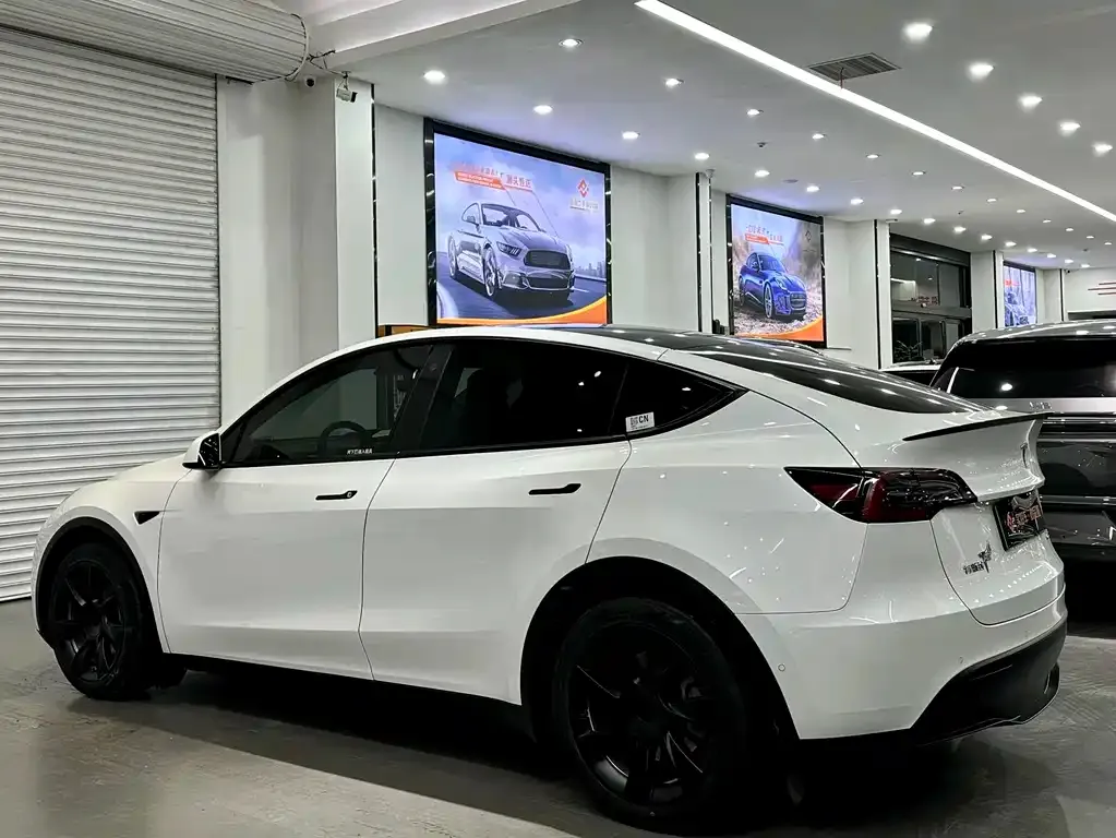Tesla Model Y 2021 из CN, фото 4