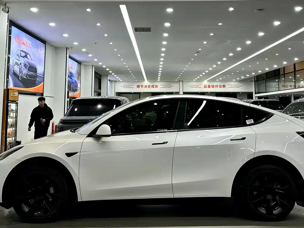 Tesla Model Y 2021 из CN, фото 7