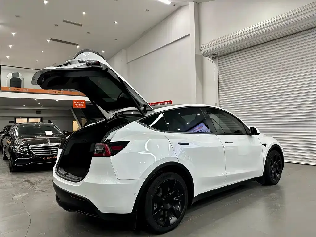 Tesla Model Y 2021 из CN, фото 10