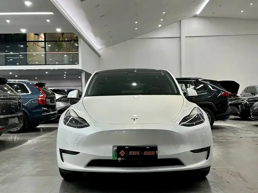 Tesla Model Y 2021 из CN, фото 5