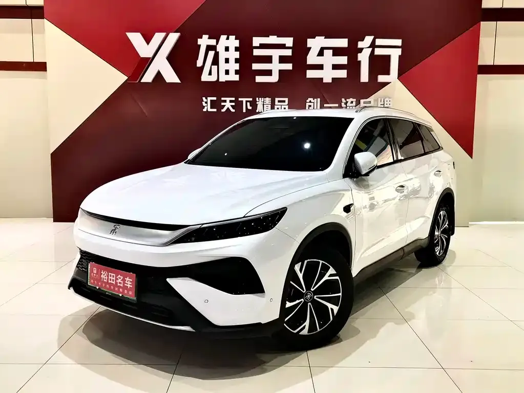 BYD Pro New Energy 2025 из CN, фото 1