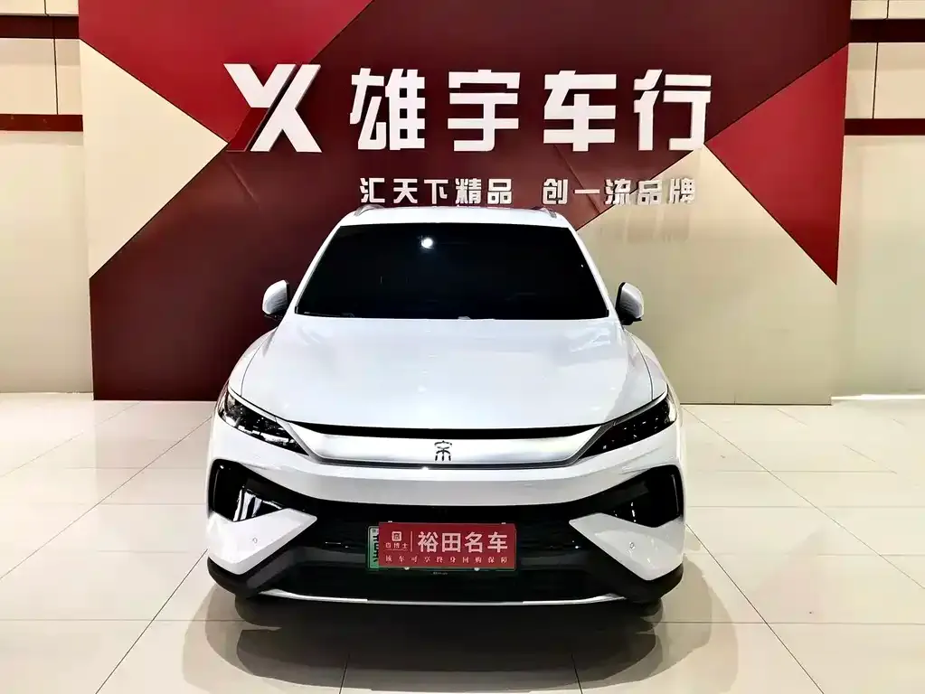 BYD Pro New Energy 2025 из CN, фото 2