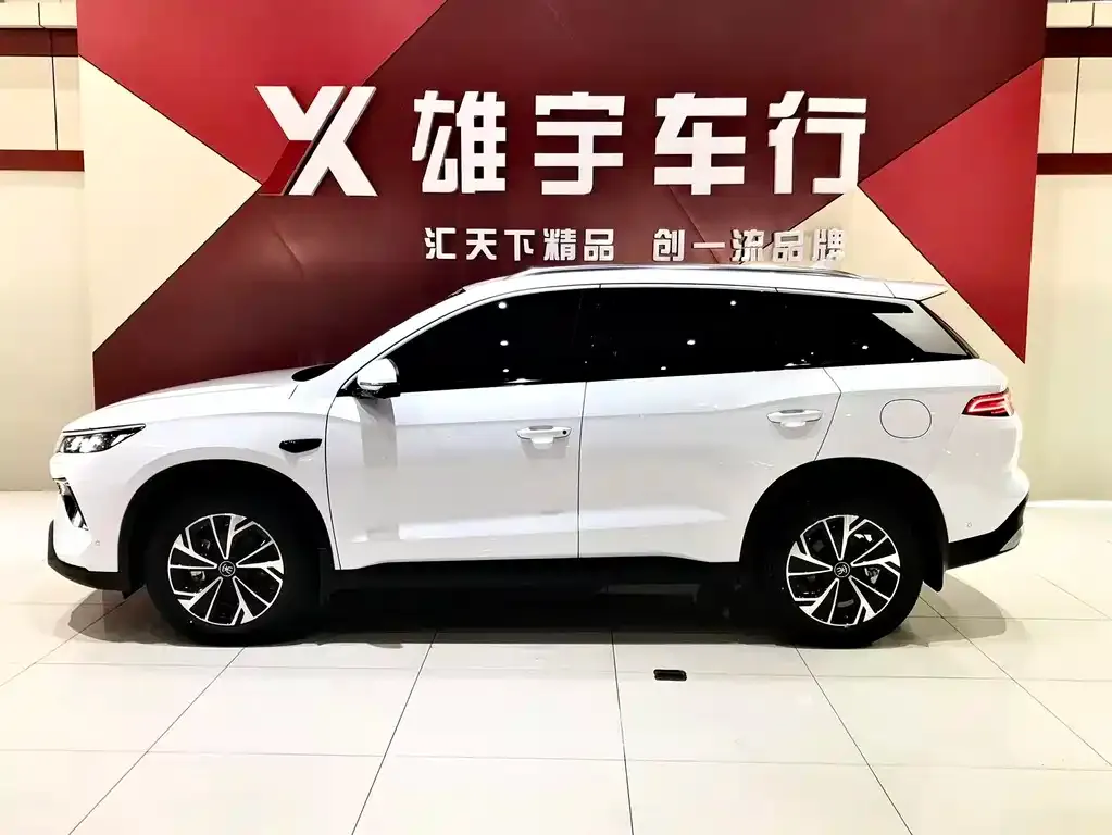 BYD Pro New Energy 2025 из CN, фото 3
