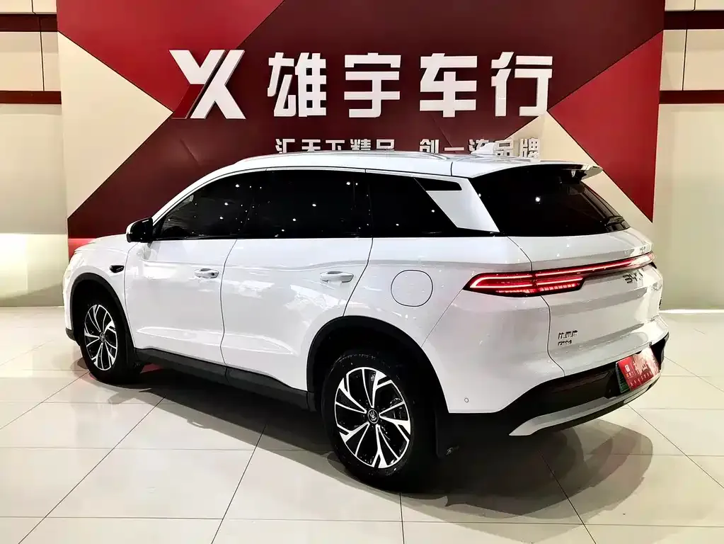 BYD Pro New Energy 2025 из CN, фото 4