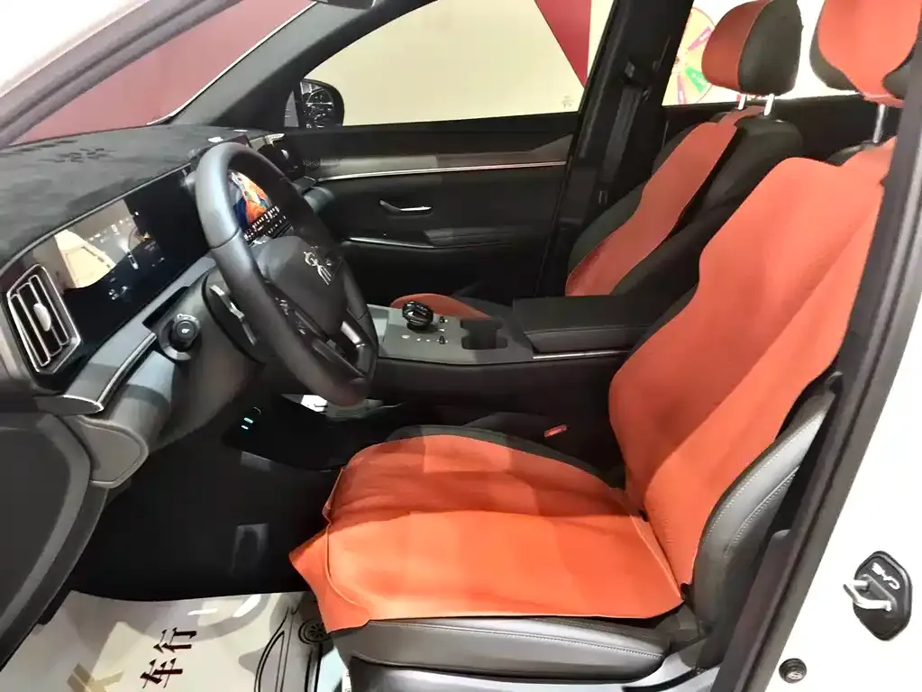 BYD Pro New Energy 2025 из CN, фото 7