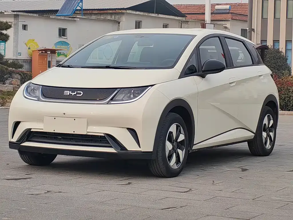 BYD Dolphin 2025 из CN, фото 1