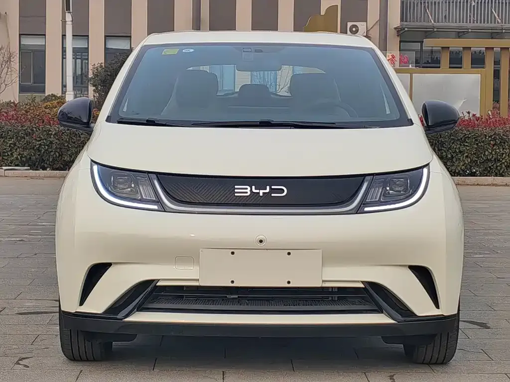 BYD Dolphin 2025 из CN, фото 7