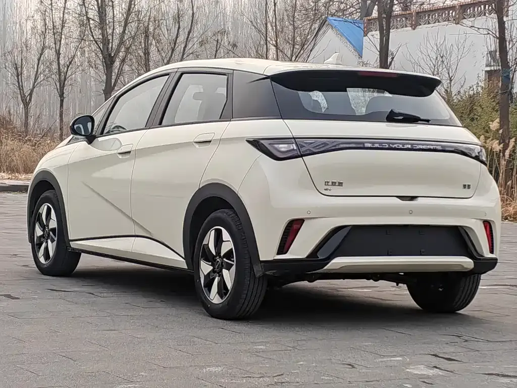 BYD Dolphin 2025 из CN, фото 4