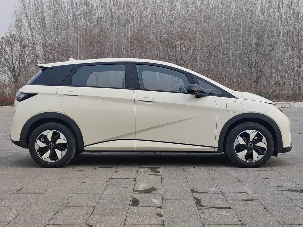 BYD Dolphin 2025 из CN, фото 9