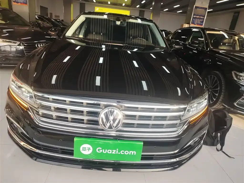 Volkswagen Phideon 2023 из CN, фото 7
